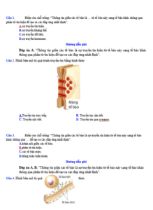 Anh chup man hinh 2025 09 03 173005