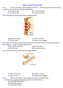 Anh chup man hinh 2025 09 03 173114