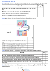 Anh chup man hinh 2025 09 03 173238