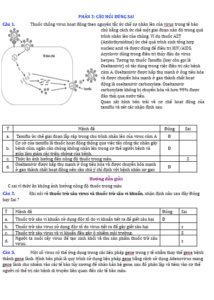 Anh chup man hinh 2025 09 03 173454