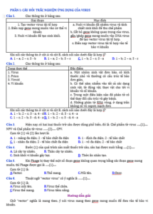 Anh chup man hinh 2025 09 03 173827