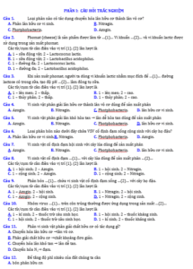 Anh chup man hinh 2025 09 03 174000