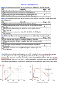 Anh chup man hinh 2025 09 03 174132