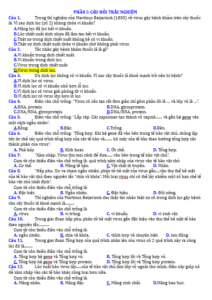 Anh chup man hinh 2025 09 03 174659