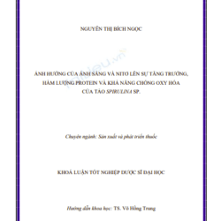 Anh chup man hinh 2025 09 04 140627