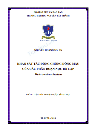 Anh chup man hinh 2025 09 04 141526