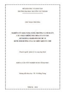 Anh chup man hinh 2025 09 04 142411