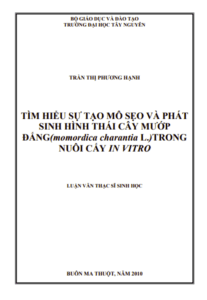 Anh chup man hinh 2025 09 22 142317