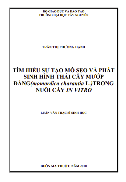 Anh chup man hinh 2025 09 22 142317