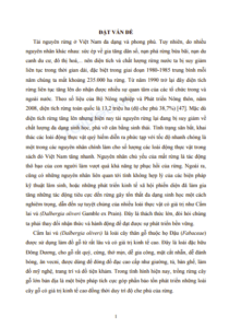 Anh chup man hinh 2025 09 22 204007