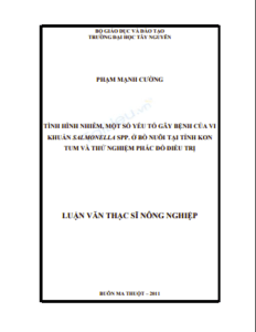 Anh chup man hinh 2025 09 22 204132